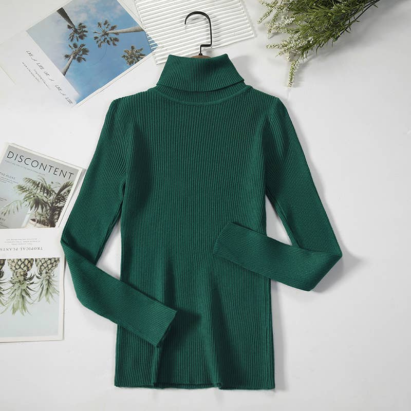 Long Sleeve Knit Turtleneck Sweater