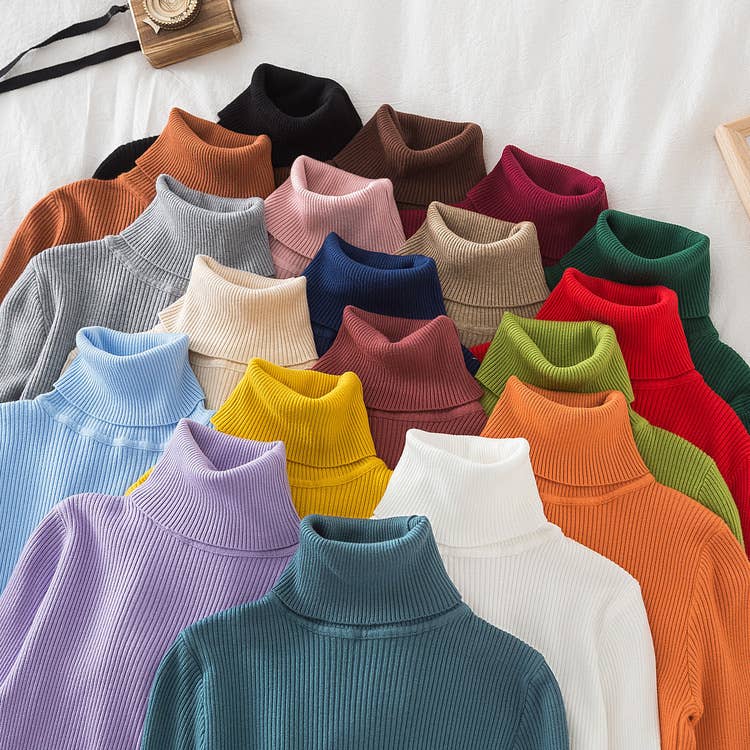 Long Sleeve Knit Turtleneck Sweater