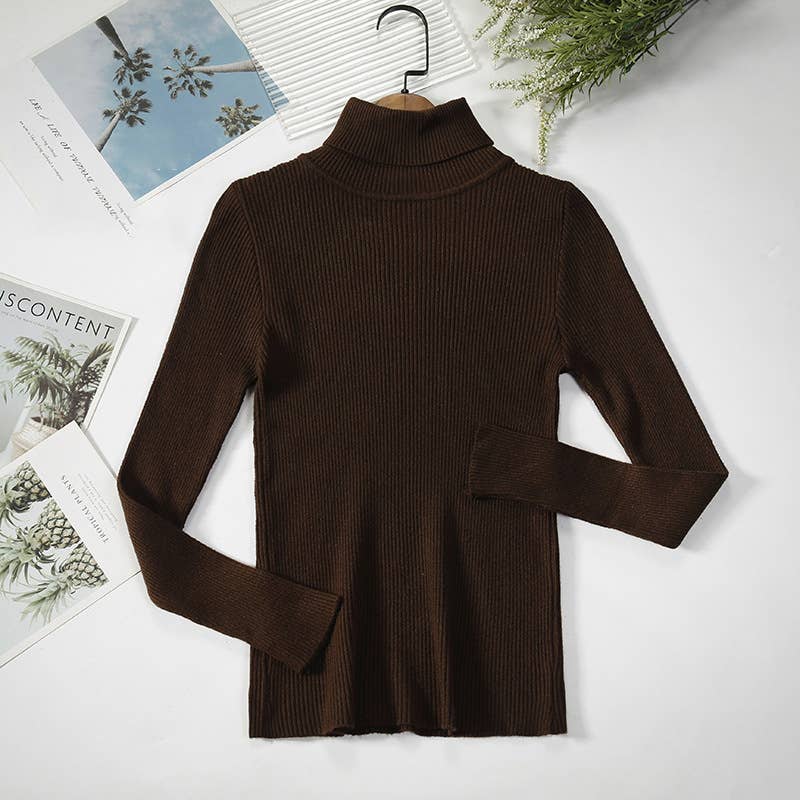 Long Sleeve Knit Turtleneck Sweater