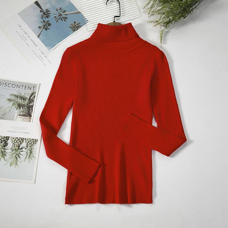 Long Sleeve Knit Turtleneck Sweater