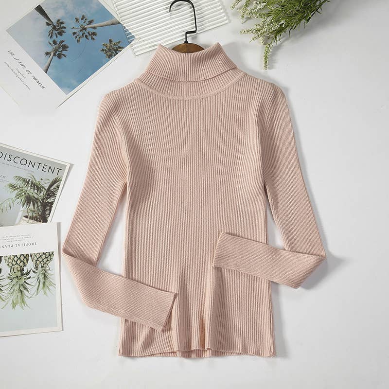 Long Sleeve Knit Turtleneck Sweater