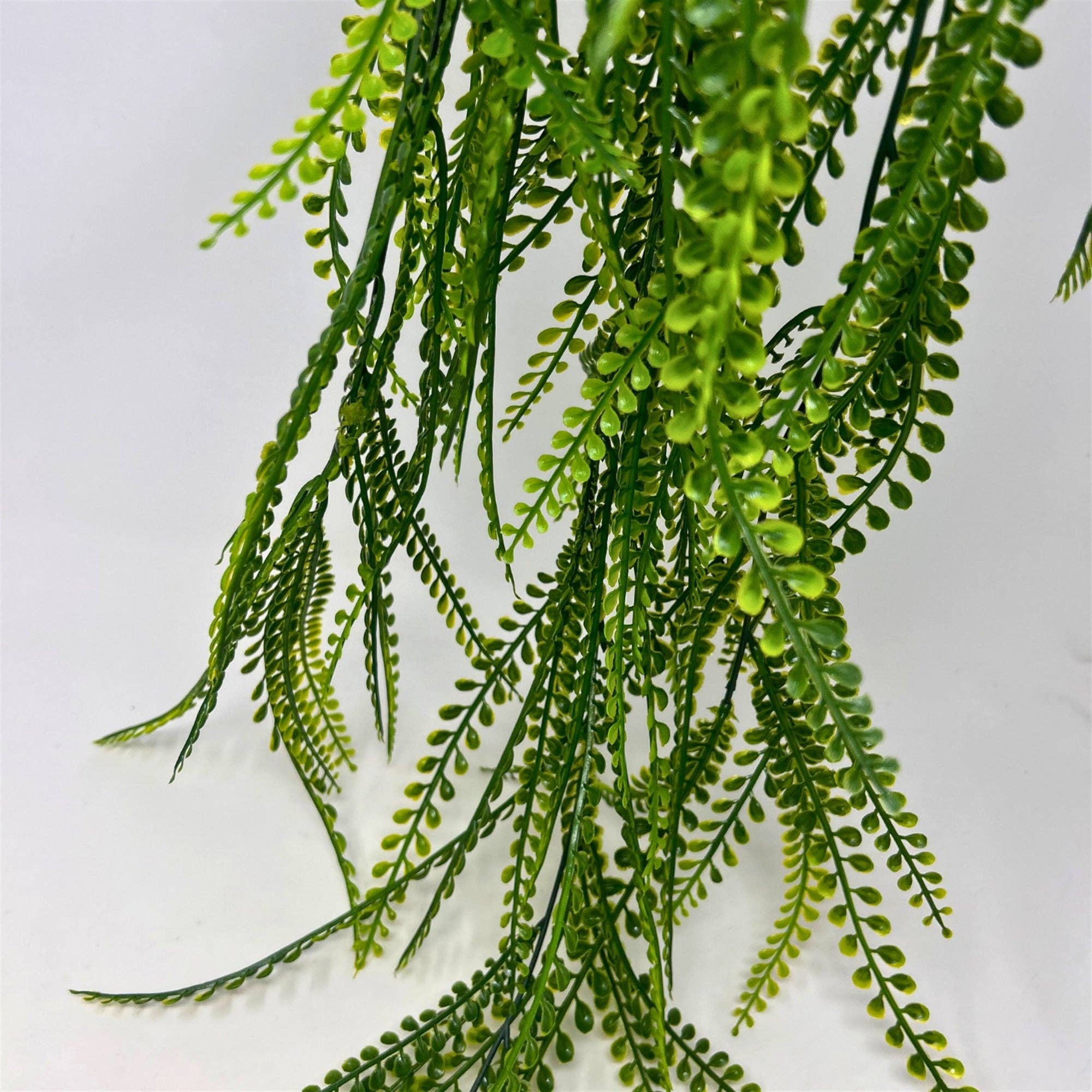 Hanging Button Grass Vine - 34" - Green