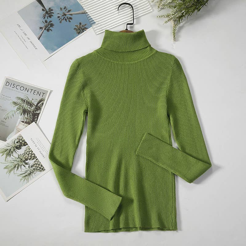 Long Sleeve Knit Turtleneck Sweater