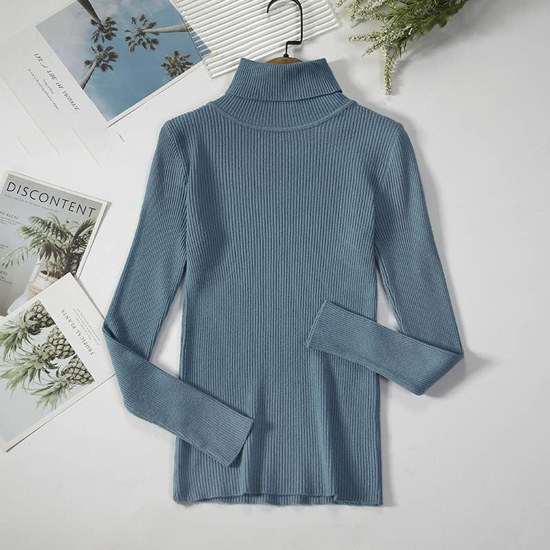 Long Sleeve Knit Turtleneck Sweater