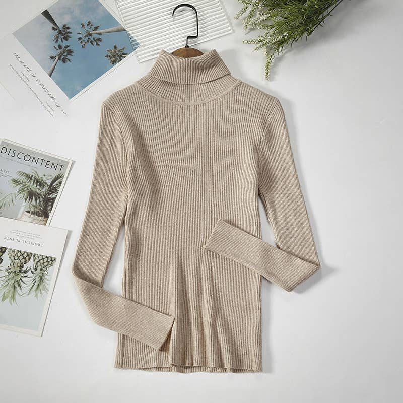 Long Sleeve Knit Turtleneck Sweater