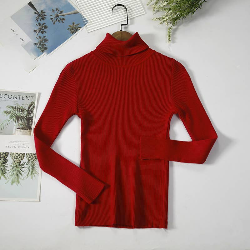 Long Sleeve Knit Turtleneck Sweater