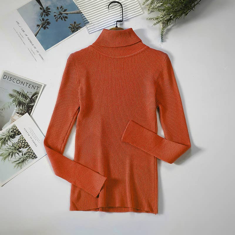 Long Sleeve Knit Turtleneck Sweater