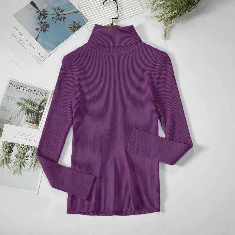 Long Sleeve Knit Turtleneck Sweater