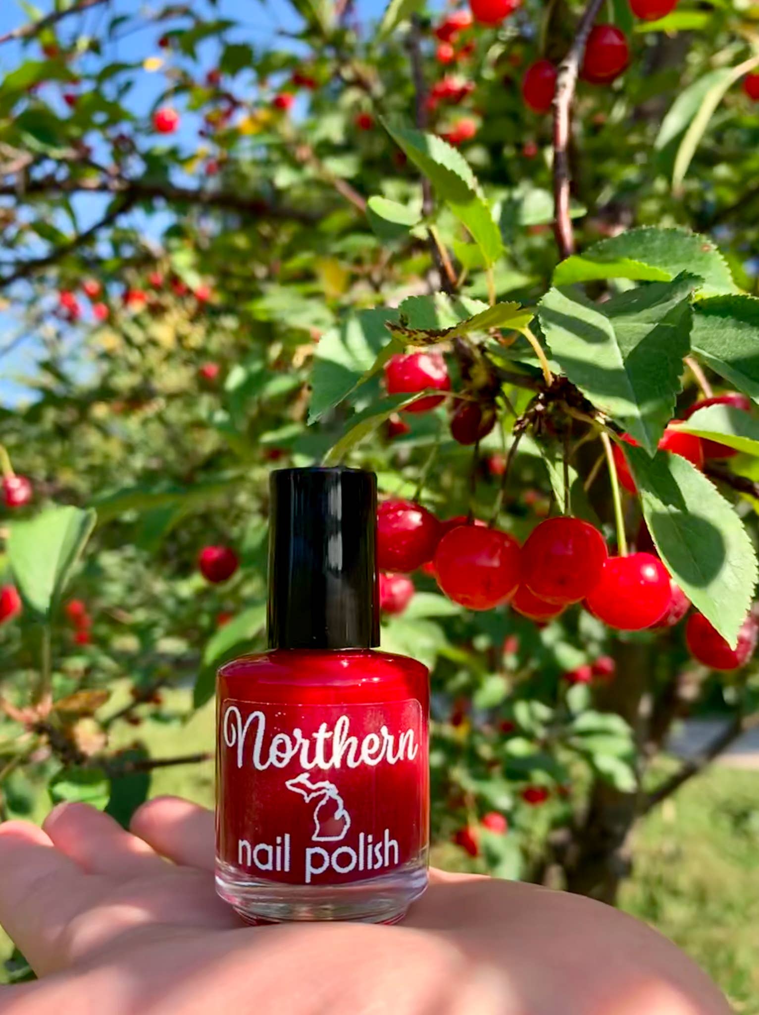 Cherry Festival ~ Nail Polish Red Eco Friendly Vegan Tox-Free