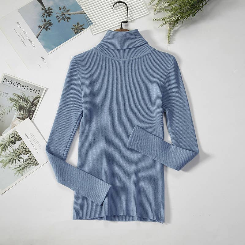 Long Sleeve Knit Turtleneck Sweater
