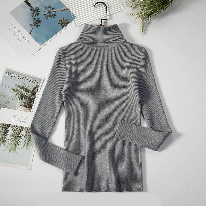 Long Sleeve Knit Turtleneck Sweater
