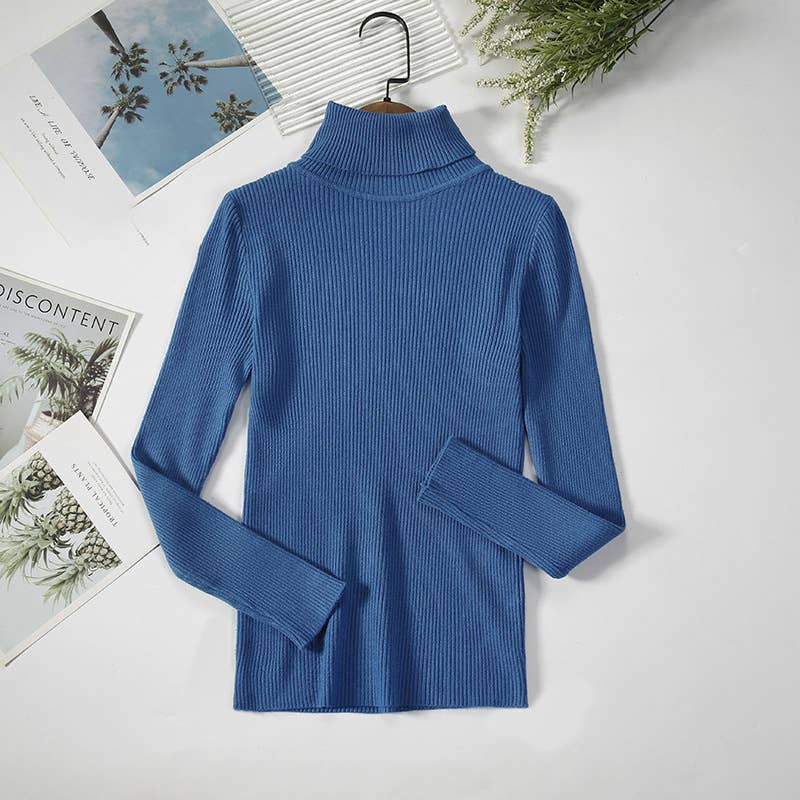 Long Sleeve Knit Turtleneck Sweater