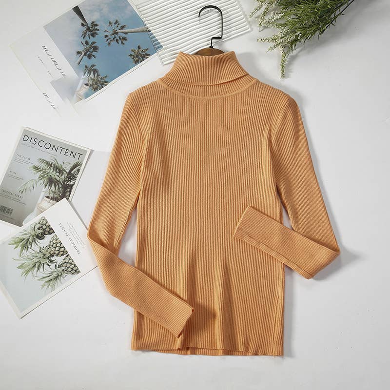 Long Sleeve Knit Turtleneck Sweater