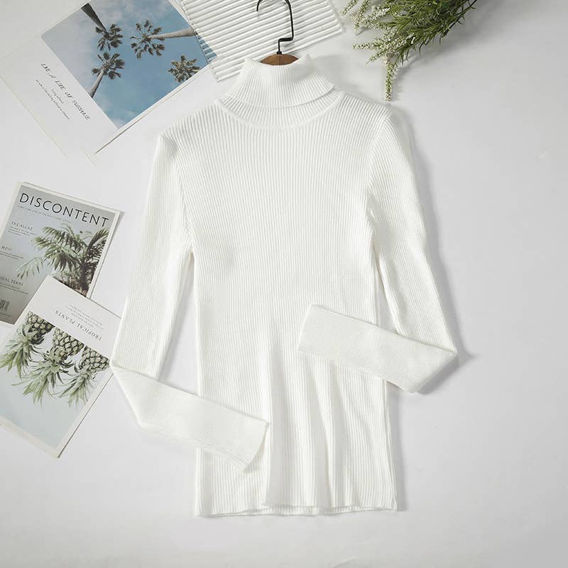 Long Sleeve Knit Turtleneck Sweater