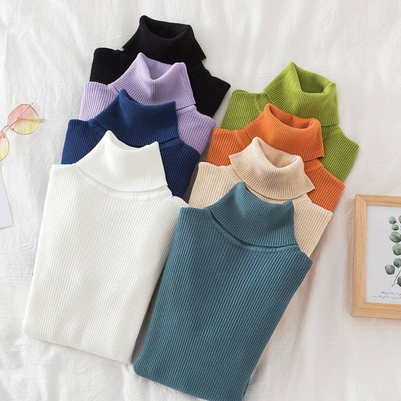Long Sleeve Knit Turtleneck Sweater