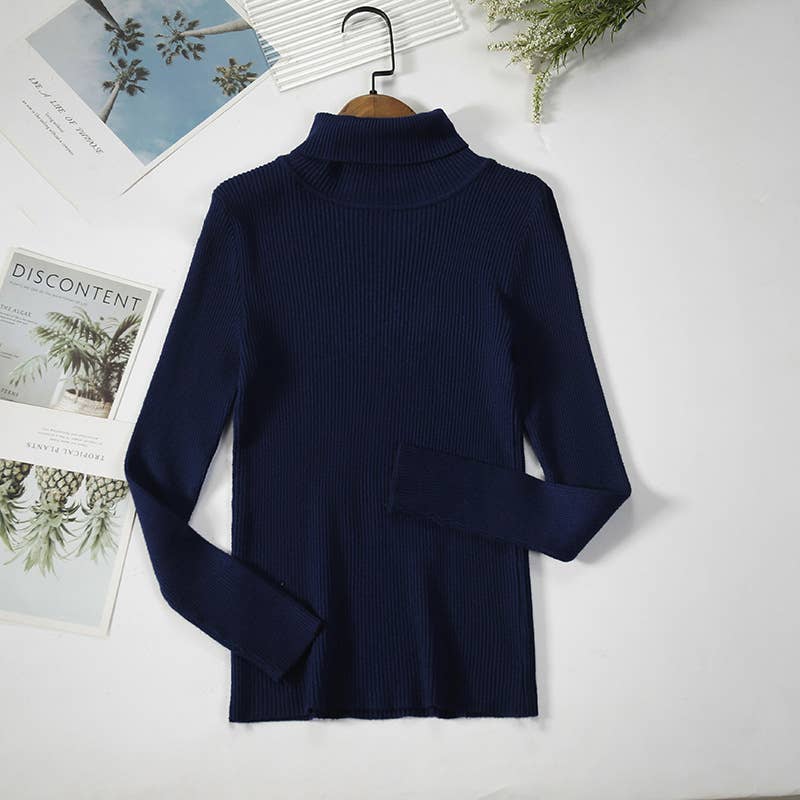 Long Sleeve Knit Turtleneck Sweater