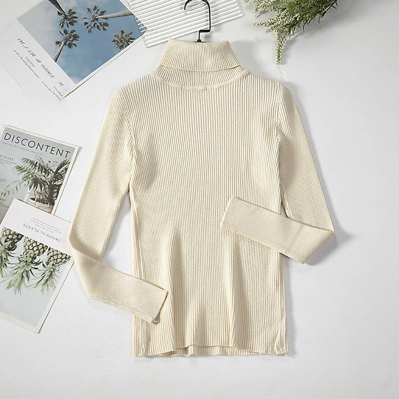Long Sleeve Knit Turtleneck Sweater