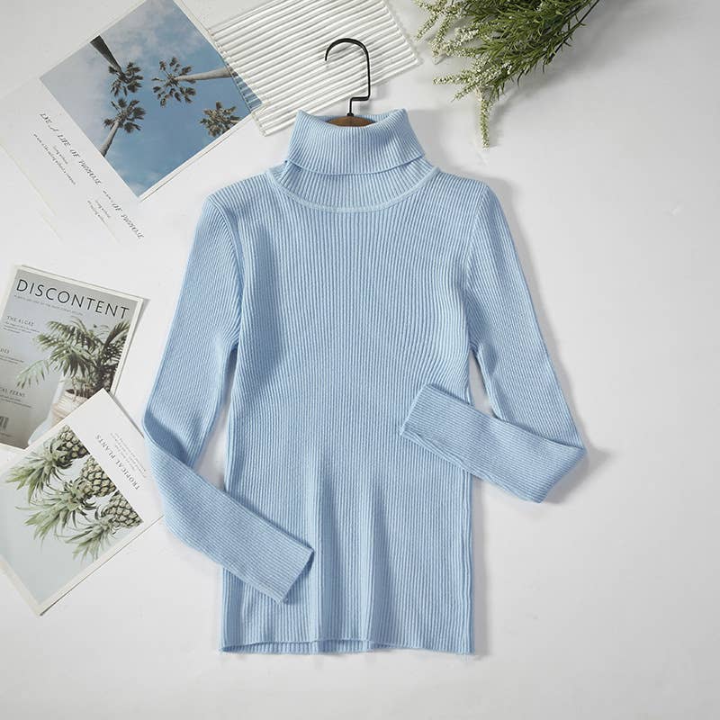 Long Sleeve Knit Turtleneck Sweater