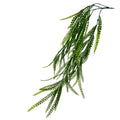 Hanging Button Grass Vine - 34" - Green