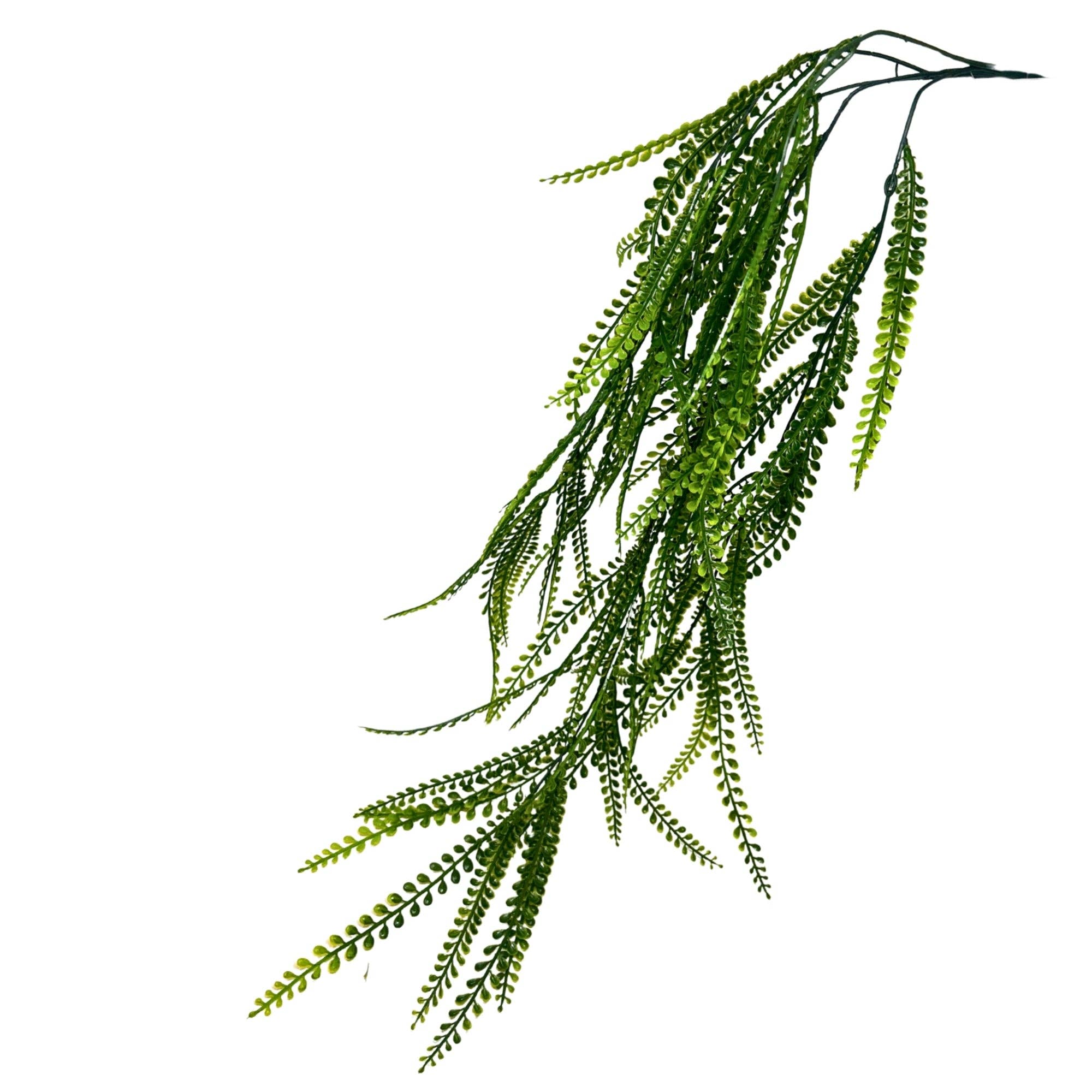 Hanging Button Grass Vine - 34" - Green