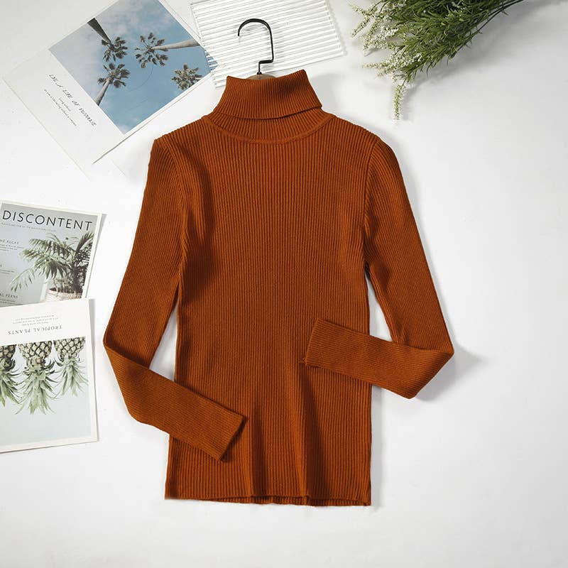 Long Sleeve Knit Turtleneck Sweater