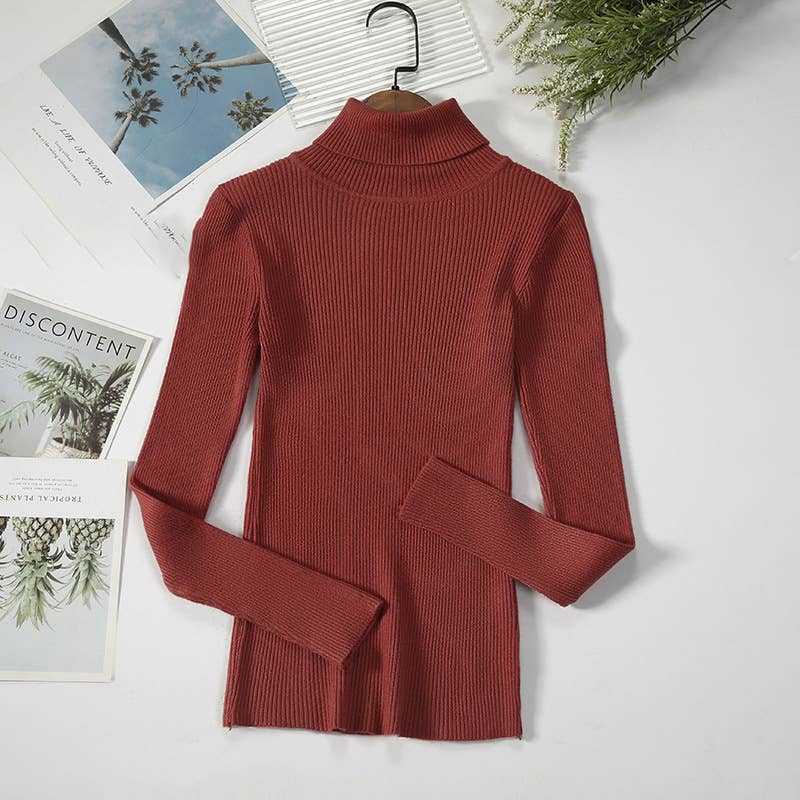 Long Sleeve Knit Turtleneck Sweater