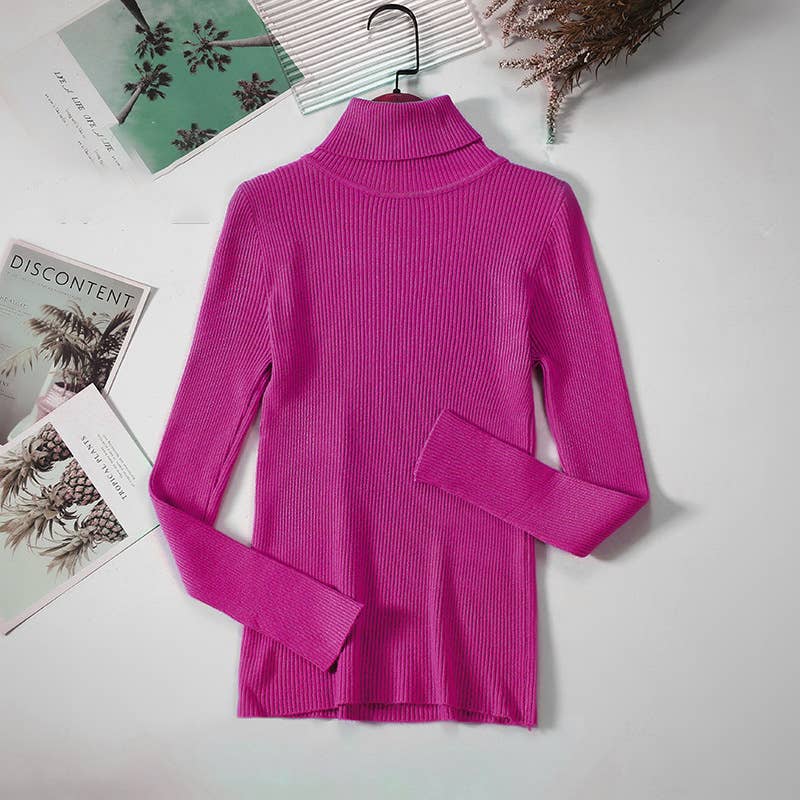 Long Sleeve Knit Turtleneck Sweater