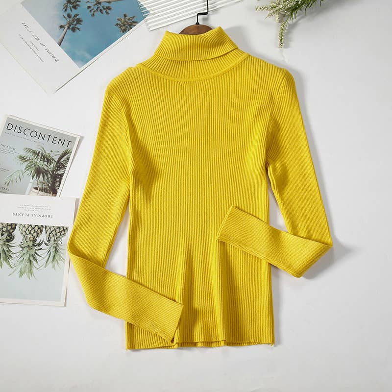 Long Sleeve Knit Turtleneck Sweater